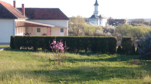 Mănăstirea Dobreşti, loc de pomenire a Patriarhului ctitor Poza 177780