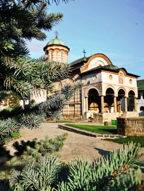 Mănăstirea Cozia, mirific tărâm cu limpezimi de har Poza 181923