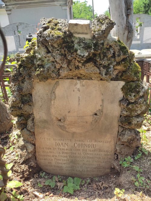 Teologul Ioan Cornoiu: de la taina mormântului 														la taina     biografiei Poza 182377