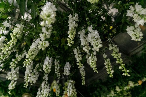 Veșmânt de flori pentru baldachinul Sfintei Cuvioase Parascheva de la Iași Poza 187280