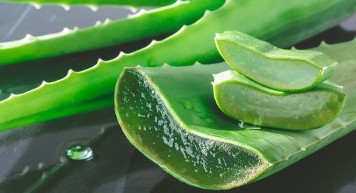 Preparate cu aloe vera, planta cu excelente proprietăţi terapeutice Poza 189916