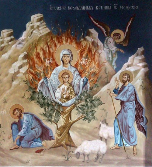 Hristofanii în Vechiul Testament: Îngerul Domnului Poza 191732