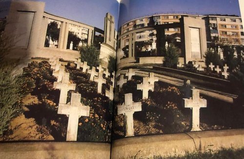Cimitirele din Craiova, semn  de cultivare a identității, unității și continuității românilor Poza 195434