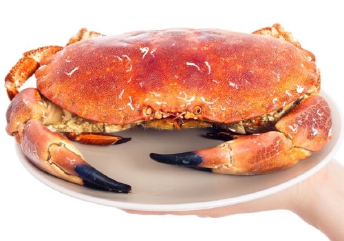 Carnea de crab, gustoasă şi fără calorii  Poza 196321