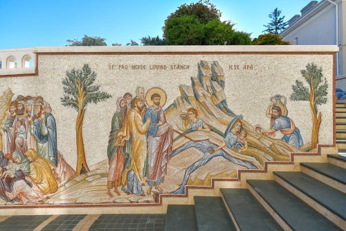Frumuseţea creaţiei zugrăvită în mozaicurile unei stavropighii patriarhale Poza 197044