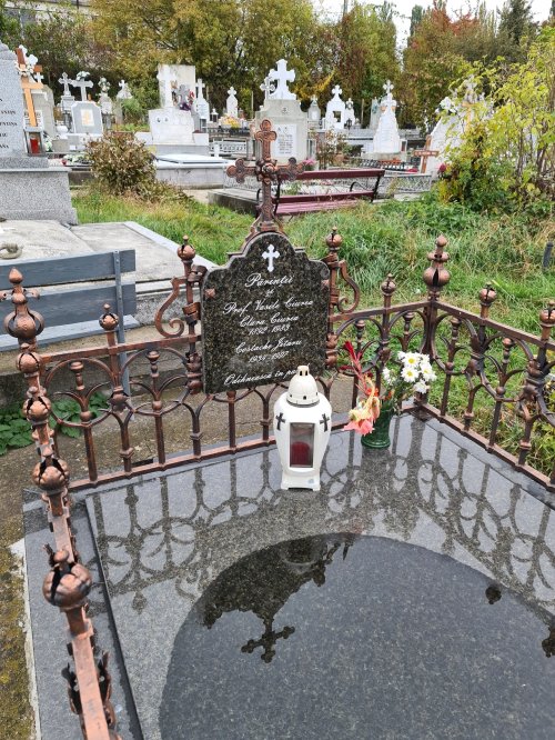 Cimitirul Grădini din Fălticeni, locul de odihnă al Lovineștilor Poza 197594