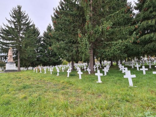 Cimitirul Grădini din Fălticeni, locul de odihnă al Lovineștilor Poza 197596