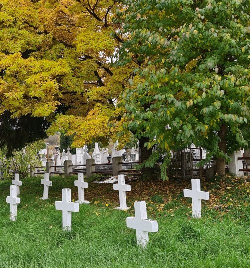 Cimitirul Grădini din Fălticeni, locul de odihnă al Lovineștilor Poza 197597