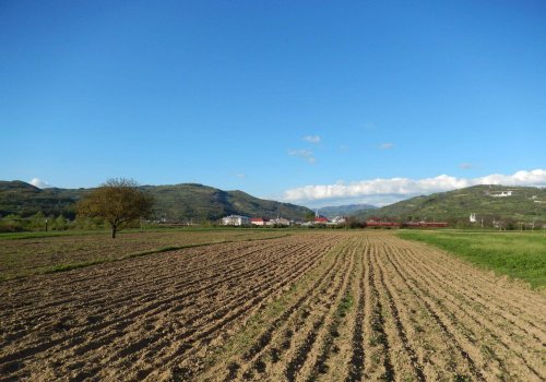 Țintă pentru agricultura ecologică de doar 5,5% din suprafață
