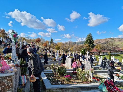 Proiect eparhial - Concurs dedicat cimitirelor parohiale în Episcopia Maramureşului şi Sătmarului Poza 199766