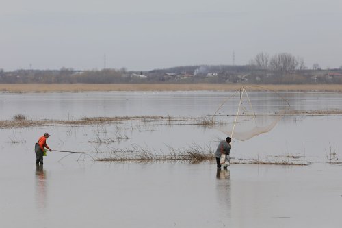 Criză de pescari  în Dobrogea