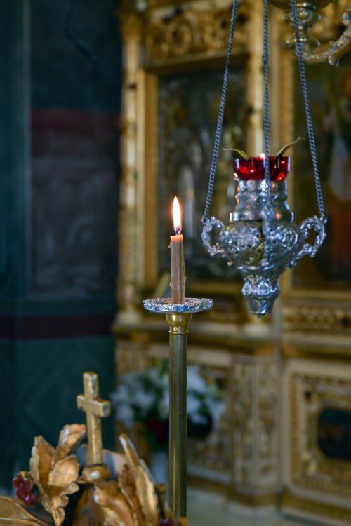 O nouă raclă pentru moaștele Sfântului Irodion de la Lainici, la Mănăstirea Pasărea Poza 202742