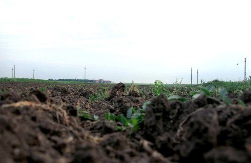 Fermierii propun sprijin pentru zonele afectate de secetă Poza 202899