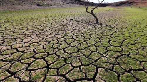 Secetă gravă în Portugalia Poza 204704