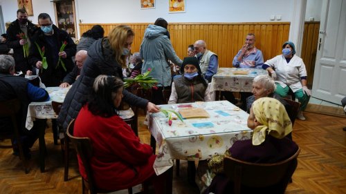 Daruri pentru vârstnici şi persoane cu dizabilităţi din Sibiu Poza 205834