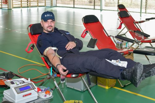 Jandarmii bucureșteni, implicați în campania „Donează sânge, salvează o viață!” Poza 206579