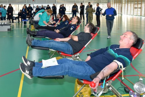Jandarmii bucureșteni, implicați în campania „Donează sânge, salvează o viață!” Poza 206595