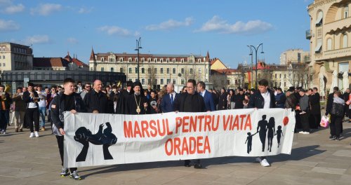 Manifestarea „Marșul pentru viață” la Oradea, ediţia a 12-a Poza 208054