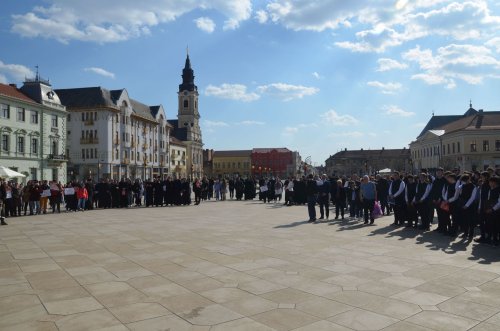 Manifestarea „Marșul pentru viață” la Oradea, ediţia a 12-a Poza 208056