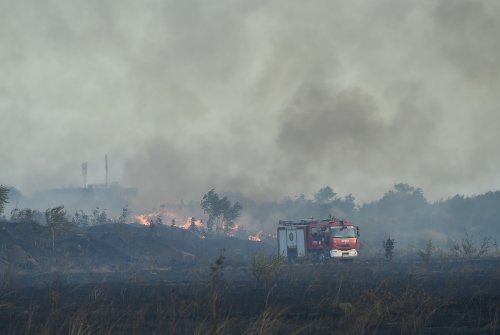 Incendiile de vegetaţie, un pericol  pentru fertilitatea solului Poza 208825