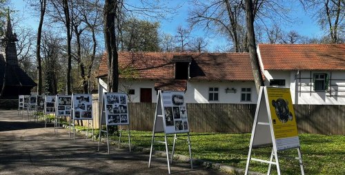 Viața sașilor transilvăneni prezentată la Muzeul Satului Poza 209421