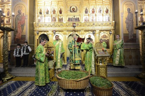 Duminica Floriilor la Catedrala Arhiepiscopală din Târgoviște Poza 210077