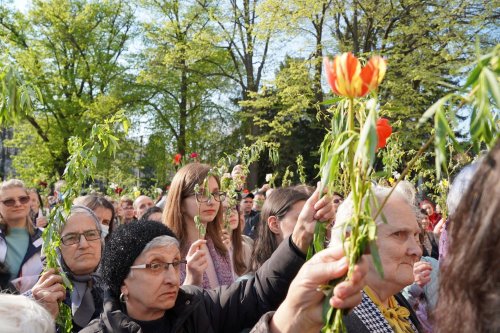 Pelerinajul de Florii în Arhiepiscopia Dunării de Jos  Poza 210015