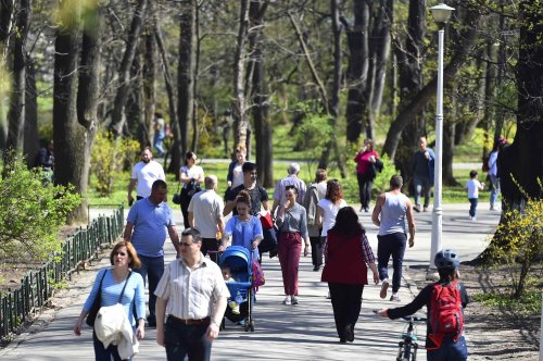 Sondaj: Timpul împreună, cel mai important pentru viața de familie Poza 213596