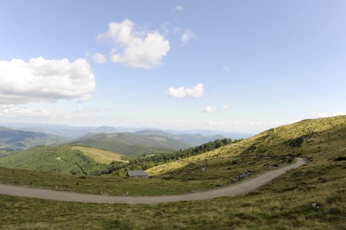 Se reia Târgul de pe Muntele Găina Poza 220507