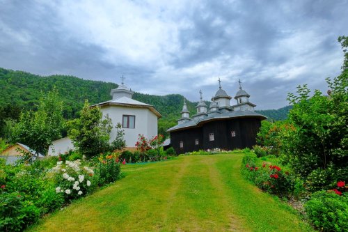 Tăcerea, puterea ziditoare a Mănăstirii Găvanu Poza 223657