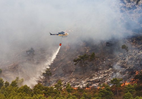 UE se confruntă cu cele mai grave incendii forestiere Poza 223936