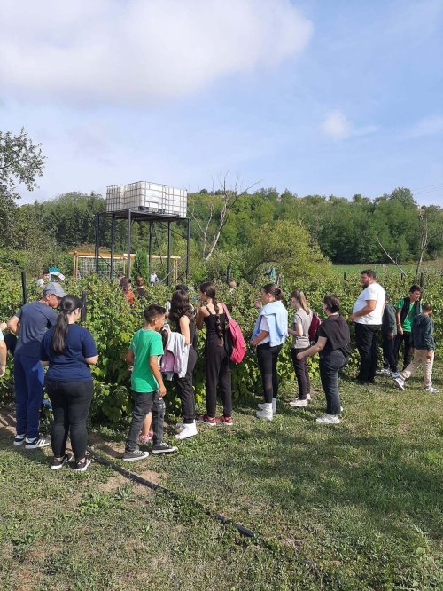 Tabără pentru 50 de copii şi tineri din Protopopiatul Agnita, judeţul Sibiu Poza 224312