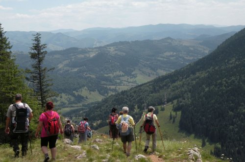 Zone de liniște în județul Brașov Poza 226084