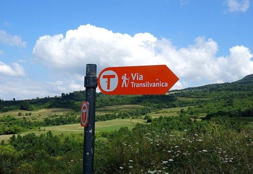 Via Transilvanica, marcată integral  în Țara Dornelor Poza 227100