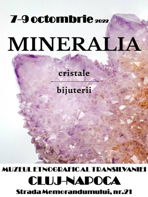 Expoziţia „Mineralia” la Cluj-Napoca Poza 228446
