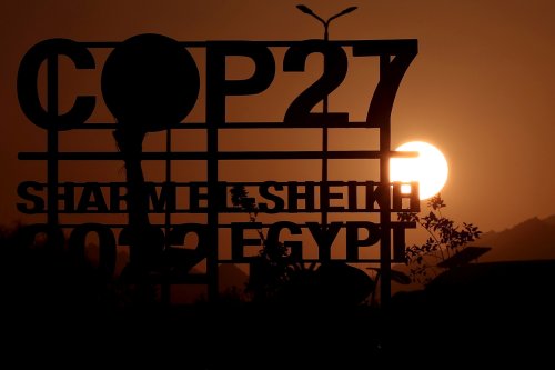 A început conferința pentru climă din Egipt Poza 233140