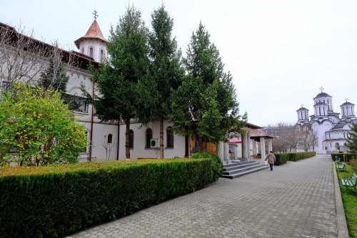 Mănăstirea Christiana, model de pastorație a vârstnicilor Poza 240873