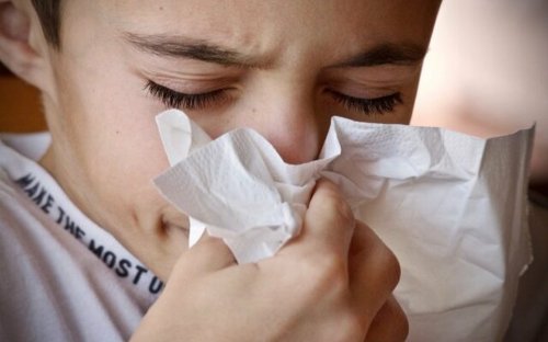 Ghid al simptomelor în cazul infecțiilor respiratorii Poza 242024