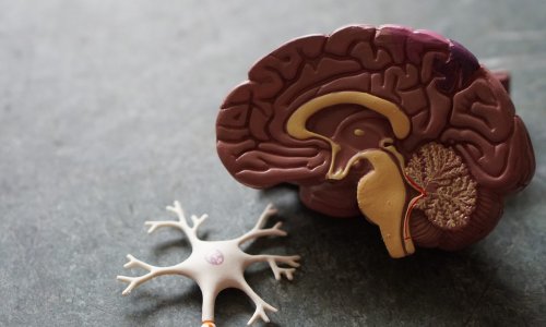 Terapia viitorului în chirurgia neurologică Poza 244897