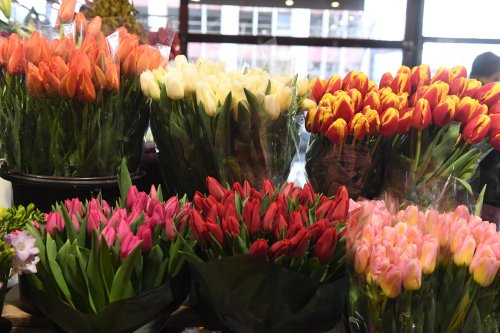 Vânzări record pe piața florilor Poza 246063
