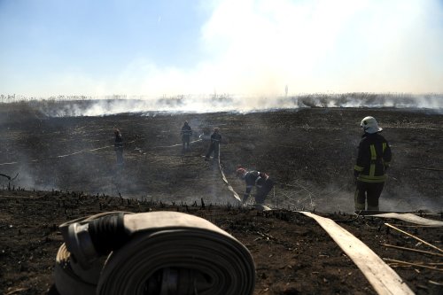 Zeci de incendii de vegetație în toată țara Poza 247370