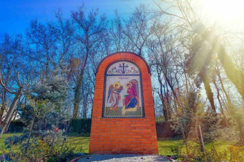Parcul „Grădina Maicii Domnului” al Reşedinţei Patriarhale la început de primăvară  Poza 247987