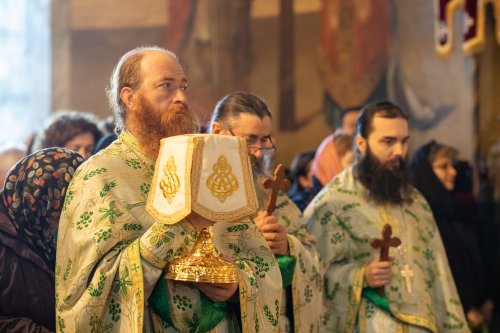 Sărbătorirea Sfântului Calinic la Mănăstirea Cernica Poza 249738