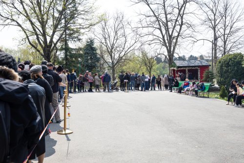 Sărbătorirea Sfântului Calinic la Mănăstirea Cernica Poza 249754