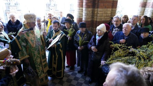 Praznicul Floriilor la Catedrala Mitropolitană din Sibiu Poza 249802
