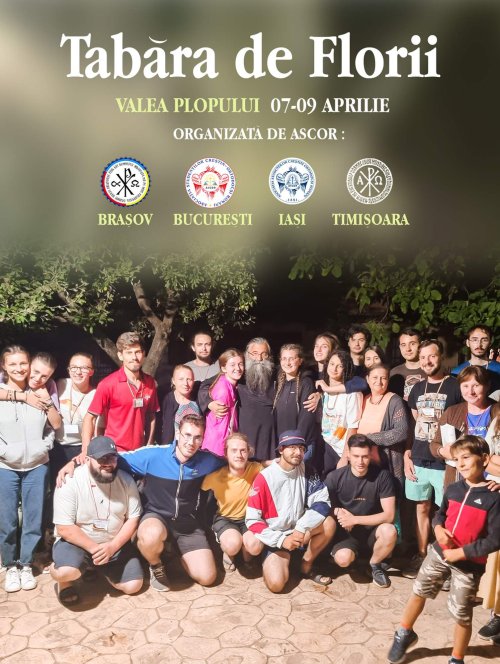 Tabără de voluntariat la Valea Plopului Poza 249905