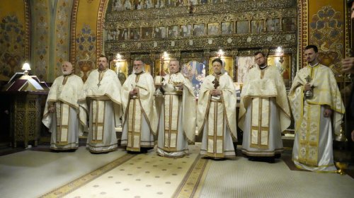 Întâlnirea preoților de caritate din Arhiepiscopia Sibiului Poza 252444