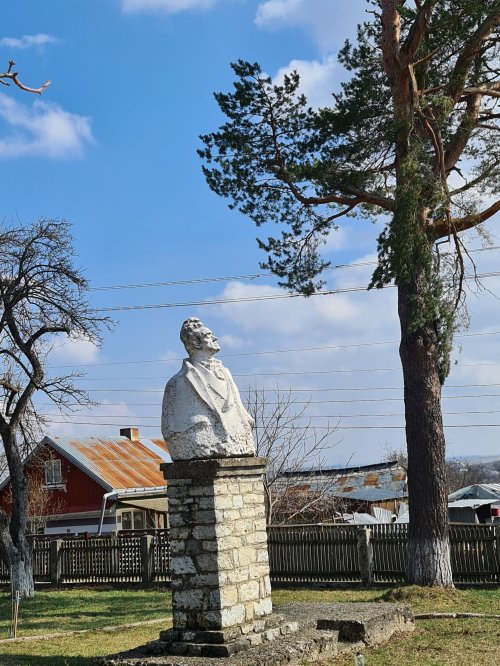 Stupca, satul de pe portativul lui Porumbescu Poza 253621