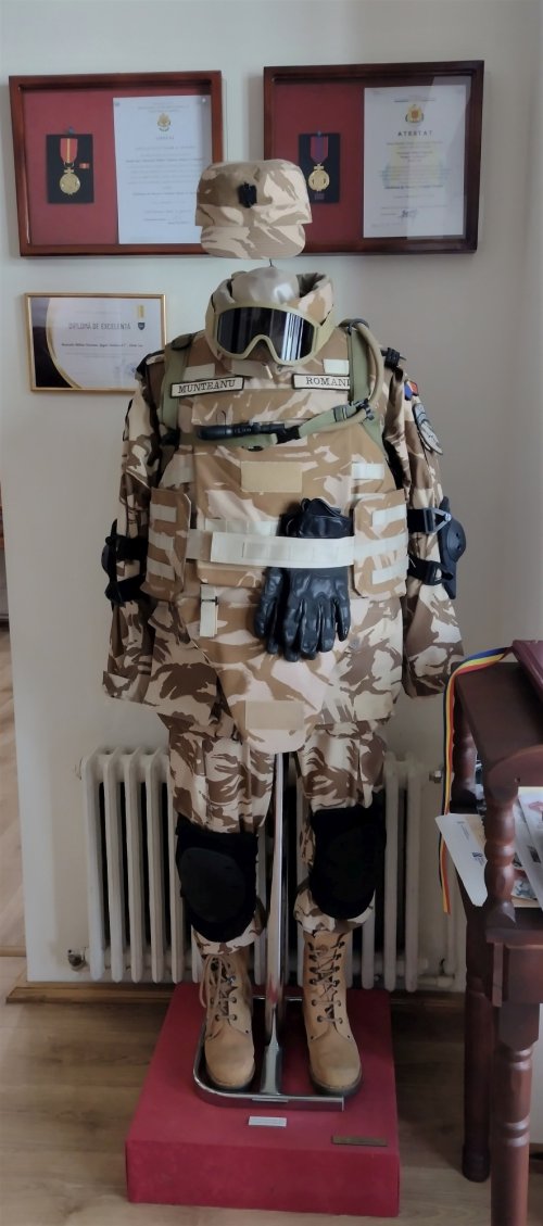 Pe urmele eroilor români la Muzeul Militar din Iaşi Poza 255281