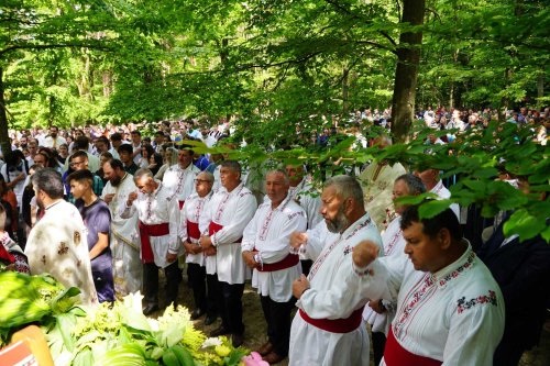 Zestrea din cufărul viitorului Poza 257509